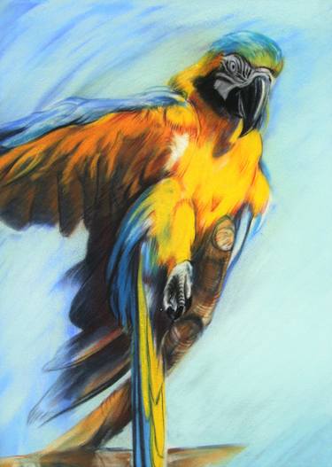 Original Impressionism Animal Paintings by Greg Cruise