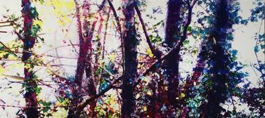 Original Tree Paintings by Mary Ruggeri