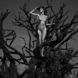 Witch tree #1 by Roberto Manetta