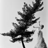 Collection Leura Fine 