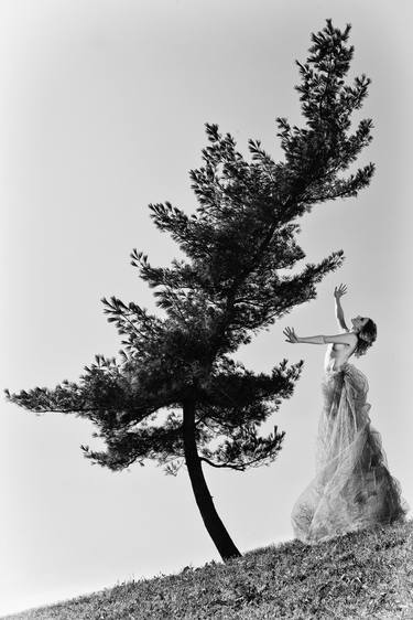 Dance with the pine tree thumb