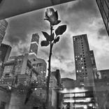 Concrete World, Edition of 10 New York, Museum of Modern art 2019 by Pedro Abreu