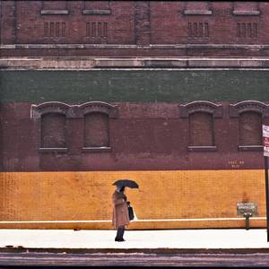 Amanda Hunt (curator)