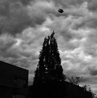 flight before the storm  Edition 1/10 printed on digital photo and archival materials thumb
