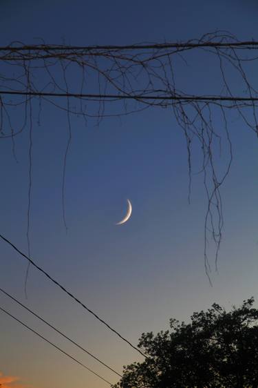 Crescent moon in Vt. - Edition 1 /10 Printed on Archival materials. Other sizes available upon request, prizes may vary based upon size. thumb