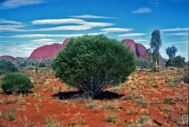 The Olgas, Australia outback, Limited Edition 2/10 Printed on digital archival materials thumb