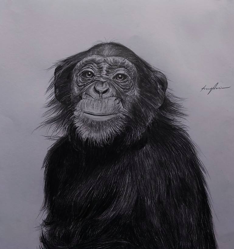 Original Black & White Animal Drawing by Tuncay Deniz