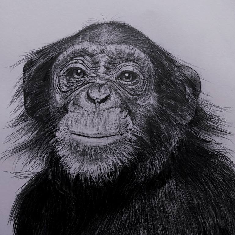 Original Black & White Animal Drawing by Tuncay Deniz