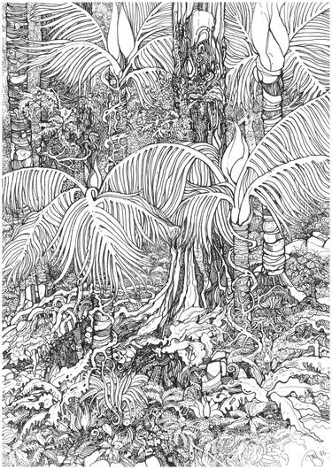 Original Black & White Nature Drawing by James Paley-Yorke