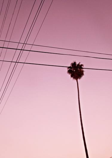 Lonely Palm tree beyond cables, Los Angeles - Limited Edition of 10 thumb