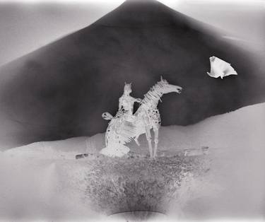 Original Figurative Horse Photography by Ype Limburg