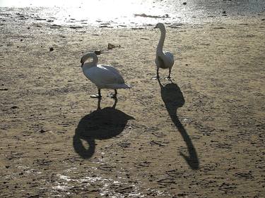 Early morning shadows thumb