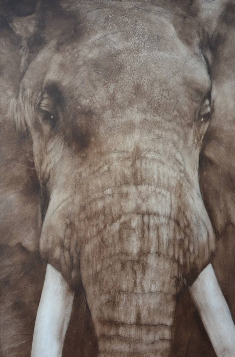 Elephant 4 - Print
