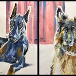 Kimberly's dogs by Gregory Radionov