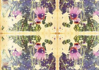 Original Expressionism Floral Photography by Jessica Russo Scherr