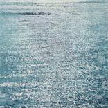 Collection Best of Rising Stars