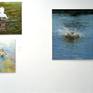 view of exhibition in BWA Bydgoszcz, 2018, "Realism. Two Looks"