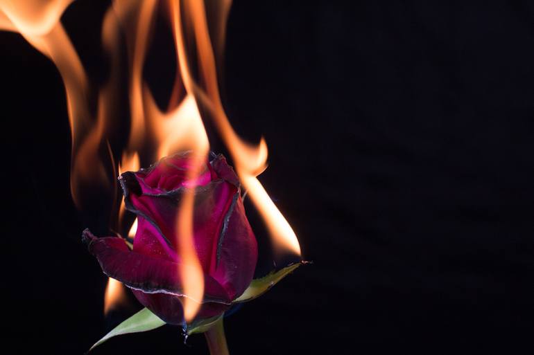 fire flowers love