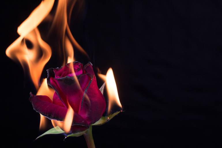 fire flowers love