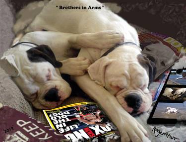 Brothers in Arms thumb