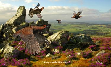 Red Grouse over the Stiperstones thumb