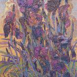 Collection New This Week 05-01-2023