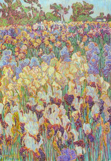 Field of irises thumb