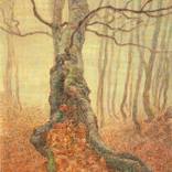 Collection Support Our Artists in Ukraine