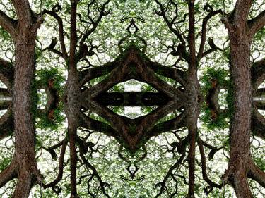 ABSTRACT TREES, #4, EDIT D thumb