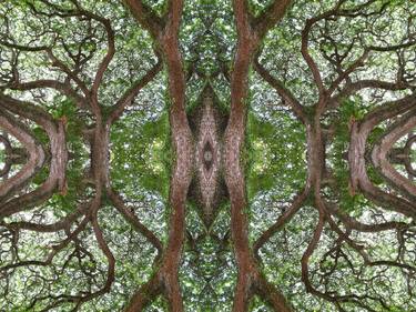 Print of Abstract Nature Photography by Nawfal Johnson Nur