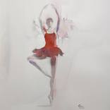 Collection BAILARINAS