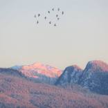 Collection The Great Outdoors