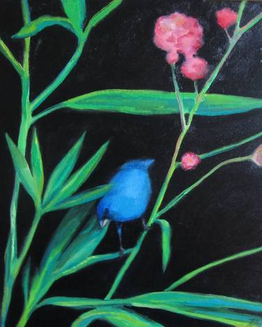 "Indigo bunting" thumb