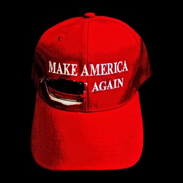Make America.... - Limited Edition 1 of 29 thumb