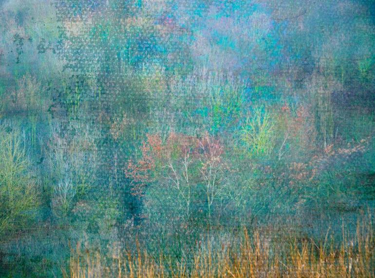 Original Fine Art Landscape Photography by Louise O'Gorman