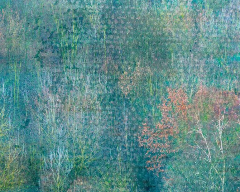 Original Fine Art Landscape Photography by Louise O'Gorman