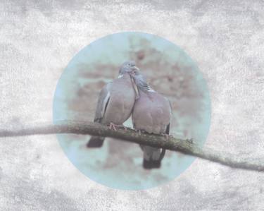 Love birds (blue) - Limited Edition 2 of 100 thumb