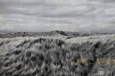 Print of Beach Photography by Louise O'Gorman