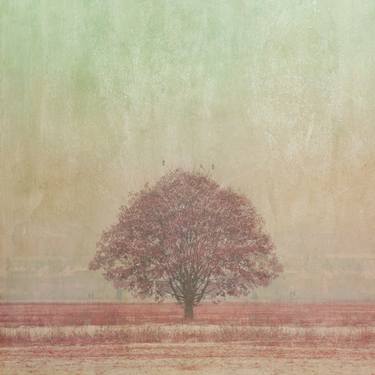 Painted Pink Tree - Limited Edition 5 of 100 thumb