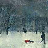 Collection 1650 Roscoe