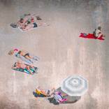 Collection 1650 Roscoe