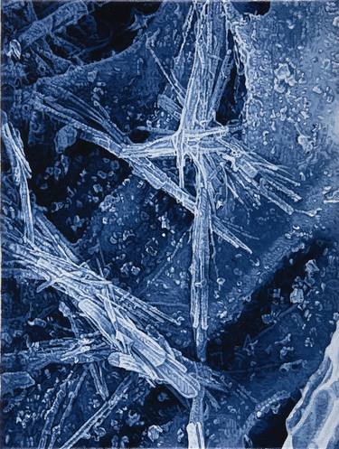 Original Photorealism Science Paintings by Anne Vincent Dijkstra