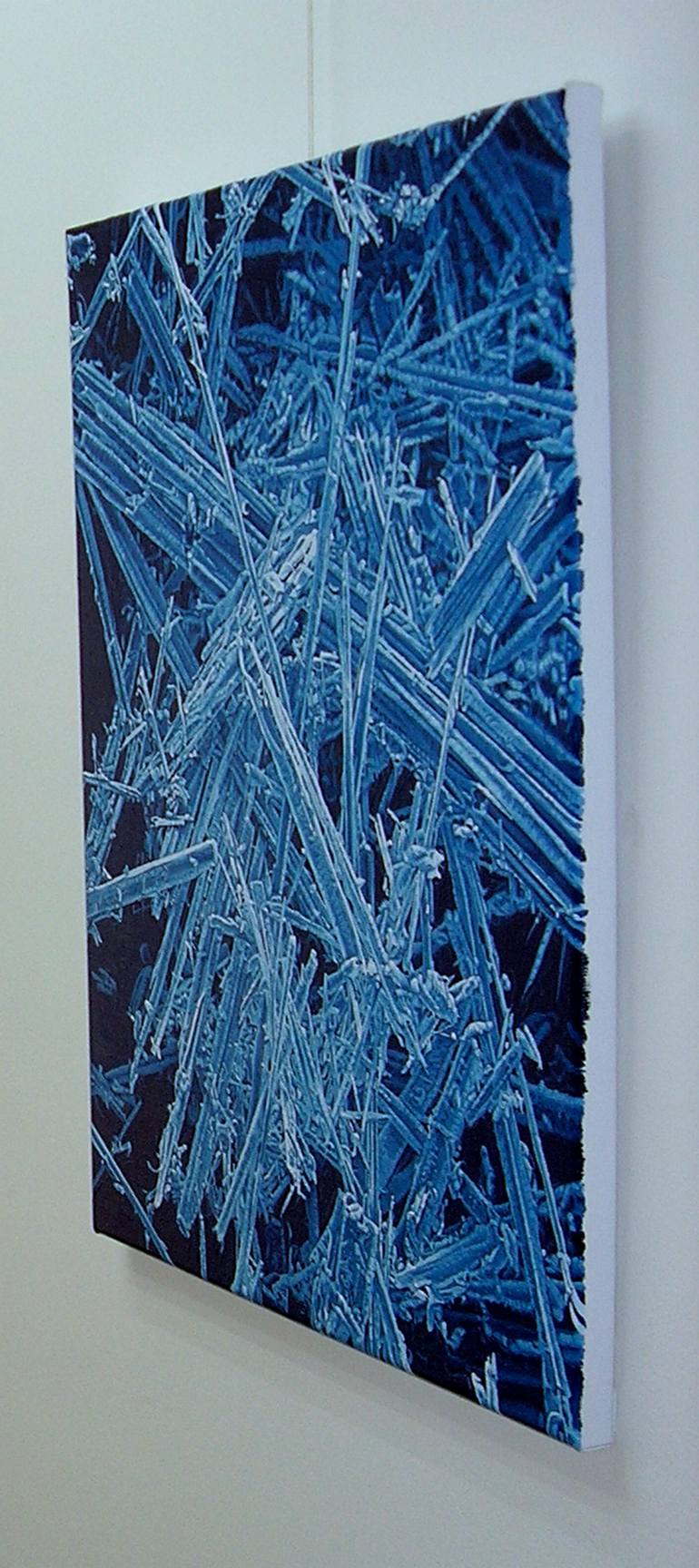 Original Photorealism Science Painting by Anne Vincent Dijkstra