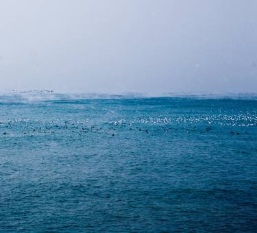 Black sea.  water thumb