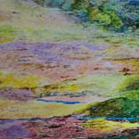 Collection Adventure