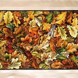 Collection Autumn Leaves