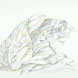 Collection Drawings - abstract and figurative