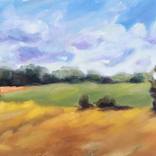Warm Summer Fields by Katia Setti