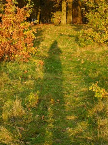 Nicole Bartos, Shadows cycle - Liverpool Walk39 thumb