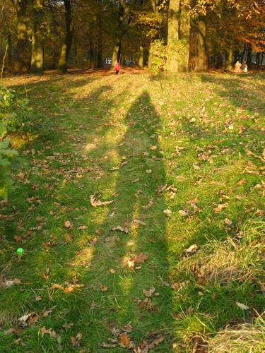 Nicole Bartos, Shadows cycle - Liverpool Walk38 thumb